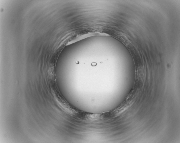 X0000087360092200705111656