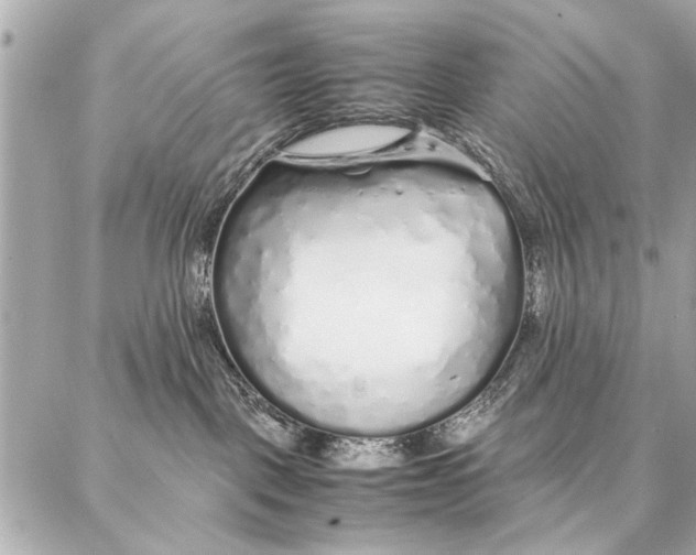 X0000087360093200705111656