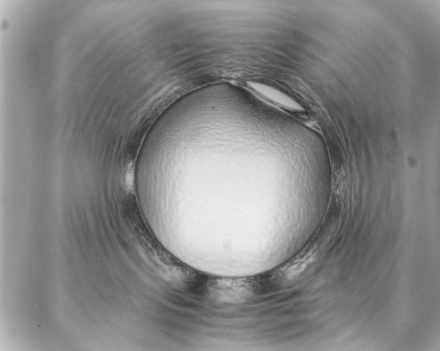 X0000087360095200705111656