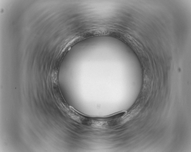 X0000087360096200705111656