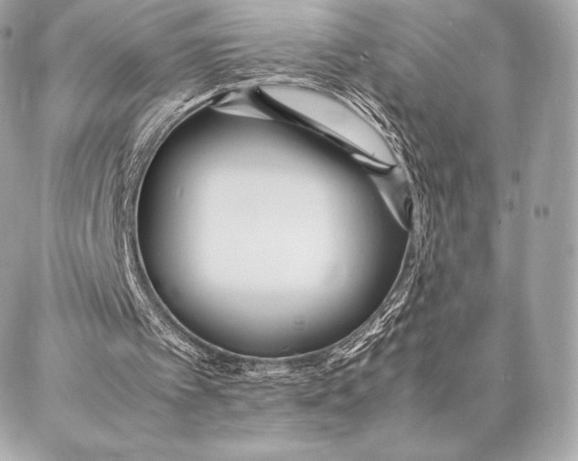 X0000087360097200705111655