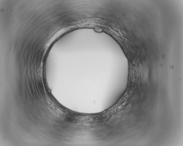 X0000087360100200705111655