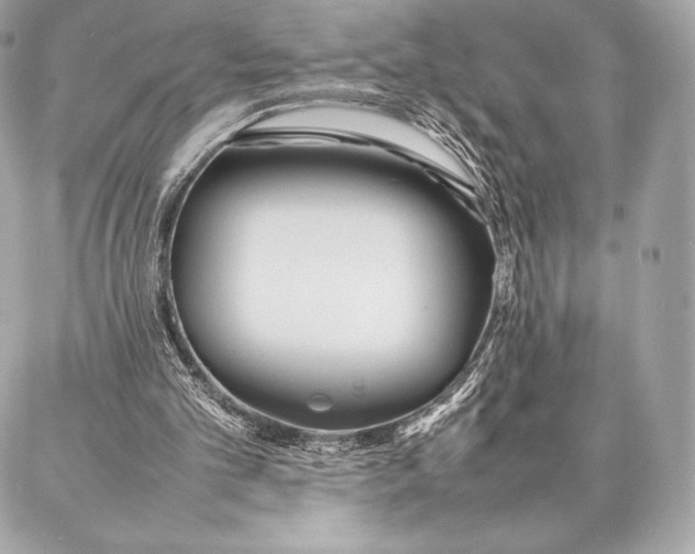 X0000087360101200705111655