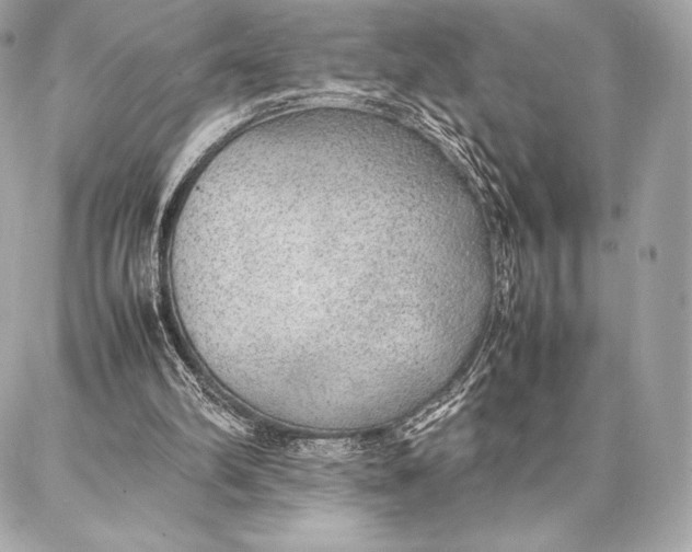 X0000087360102200705111655