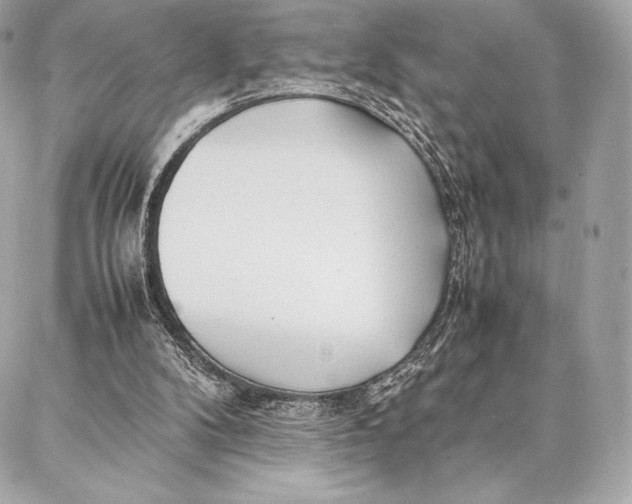 X0000087360104200705111655