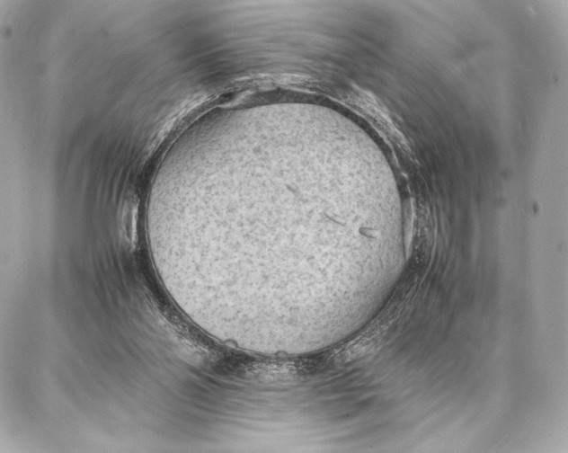 X0000087360110200705111655