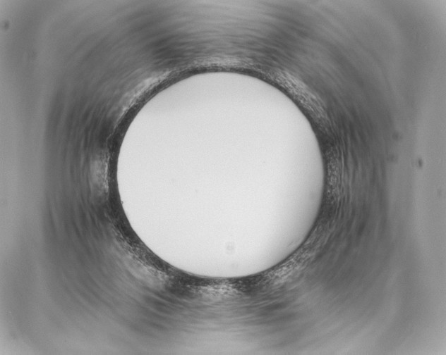 X0000087360112200705111655