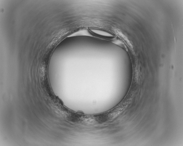 X0000087360113200705111655