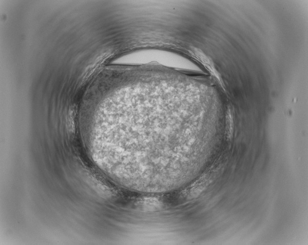 X0000087360114200705111655