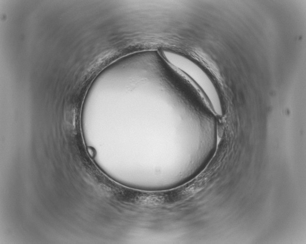 X0000087360115200705111655