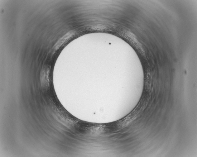 X0000087360116200705111655