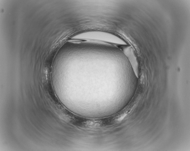 X0000087360117200705111655