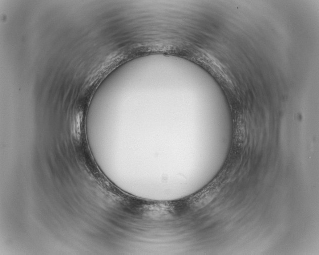 X0000087360118200705111655