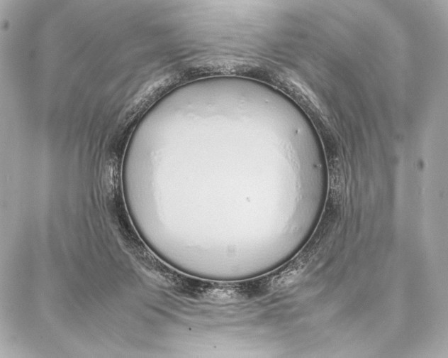 X0000087360119200705111655