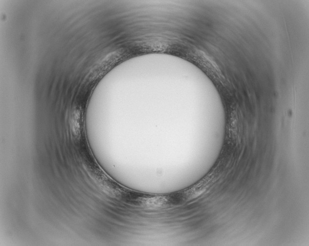 X0000087360122200705111654