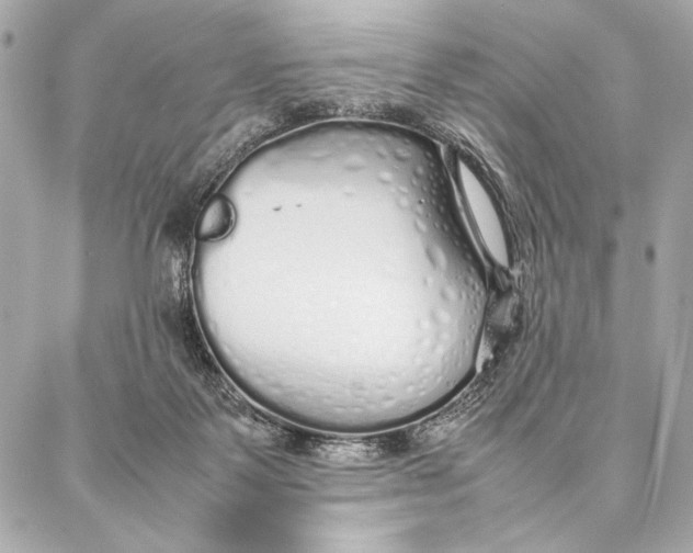 X0000087360123200705111654