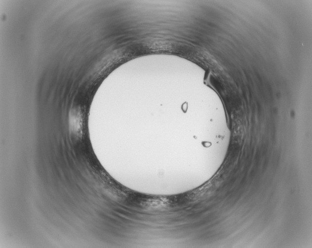 X0000087360124200705111654