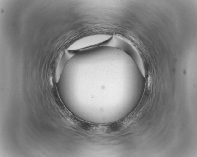 X0000087360125200705111654