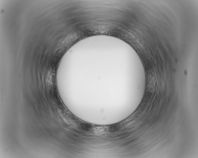 X0000087360126200705111654