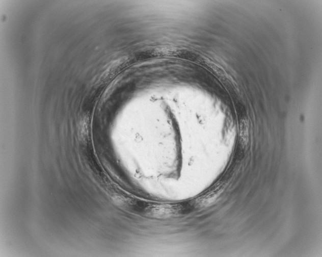 X0000087360127200705111654