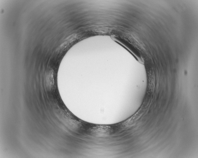 X0000087360128200705111654