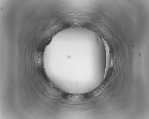 X0000087360129200705111654