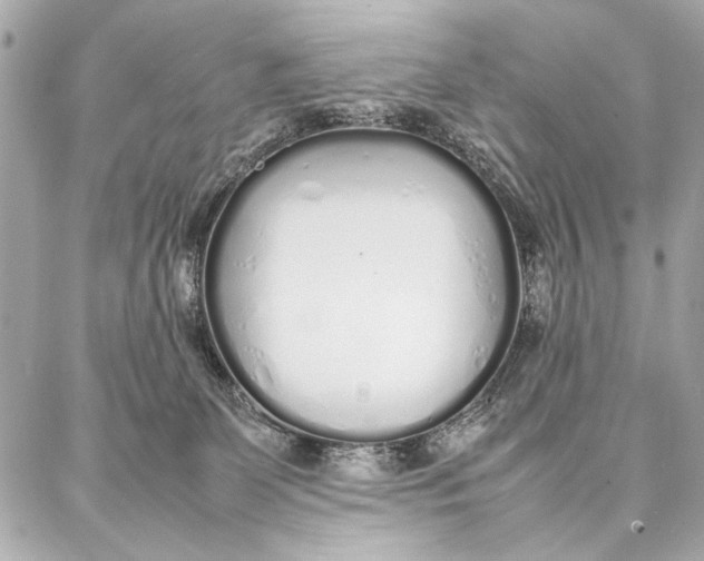 X0000087360131200705111654