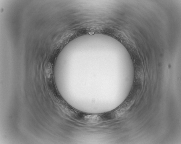 X0000087360133200705111654