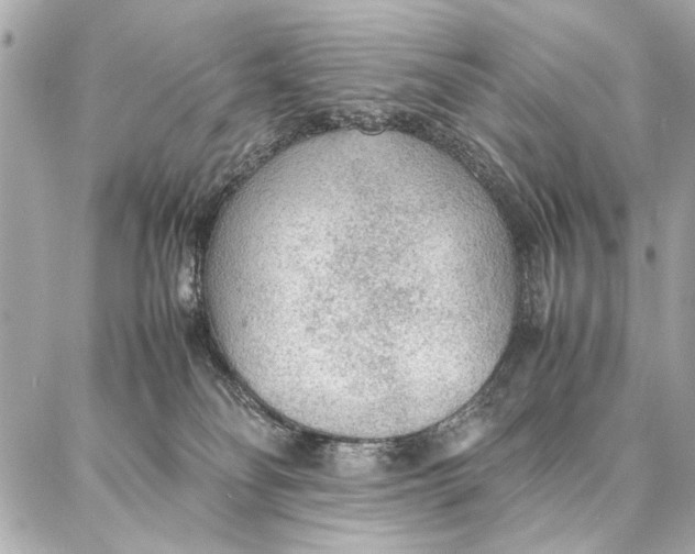 X0000087360134200705111654