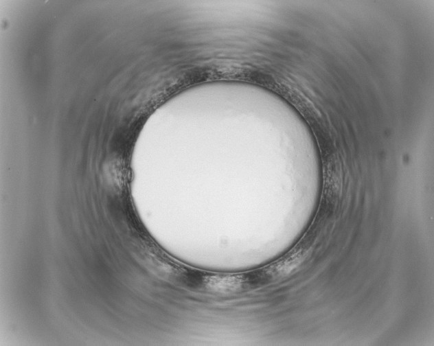 X0000087360135200705111654