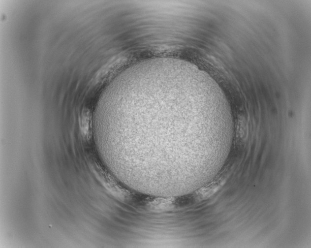 X0000087360138200705111654