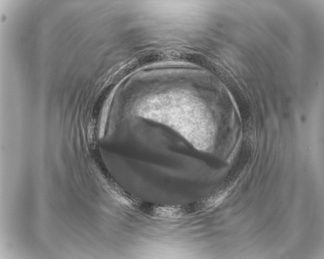 X0000087360139200705111654