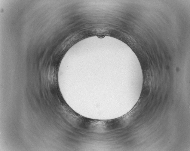 X0000087360140200705111654