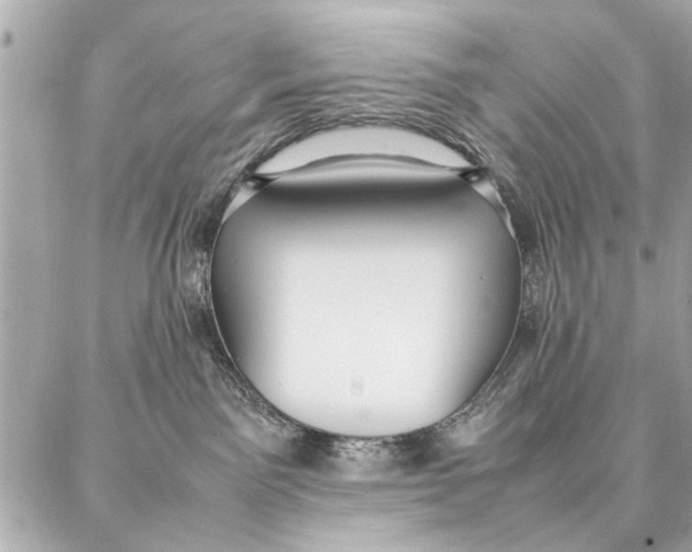 X0000087360141200705111654