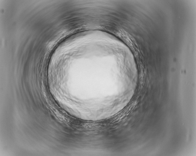 X0000087360145200705111653