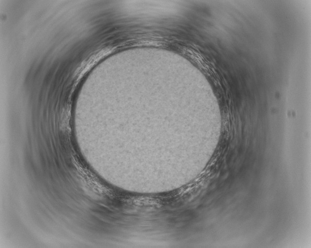 X0000087360146200705111653