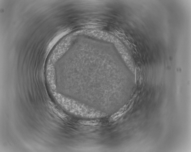 X0000087360147200705111653