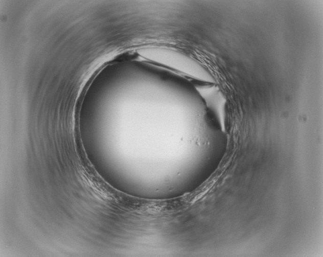 X0000087360148200705111653