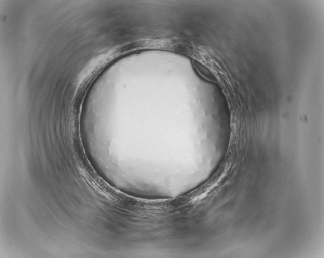 X0000087360149200705111653