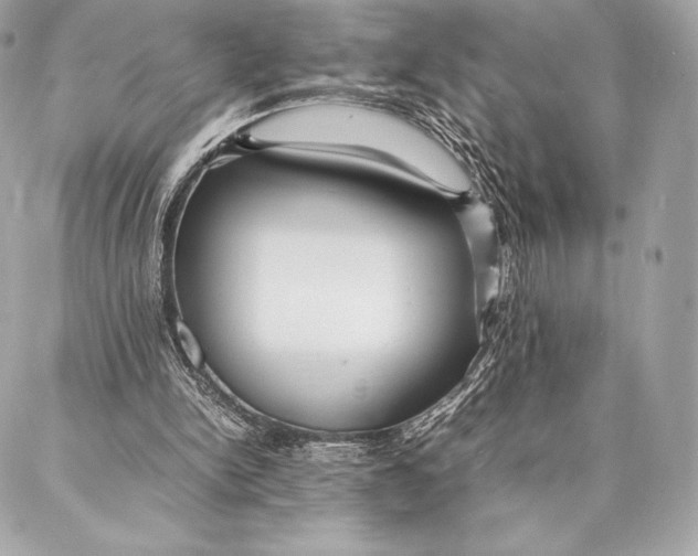 X0000087360150200705111653