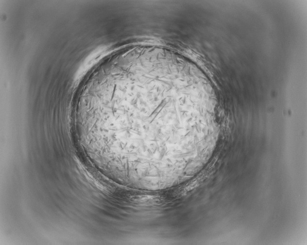 X0000087360151200705111653