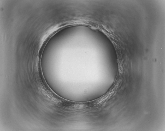 X0000087360152200705111653