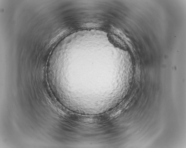 X0000087360153200705111653