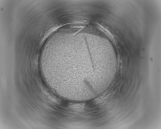 X0000087360155200705111654