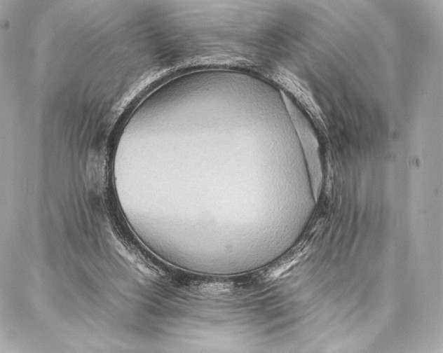 X0000087360156200705111654