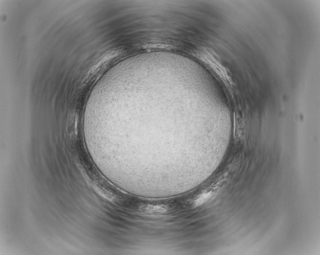 X0000087360157200705111654