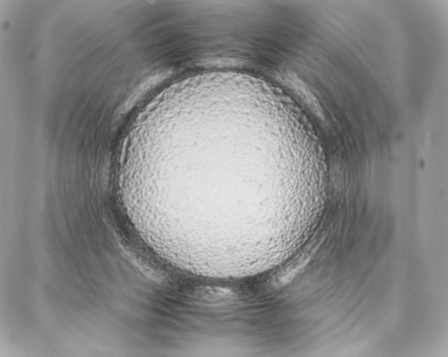 X0000087360159200705111654