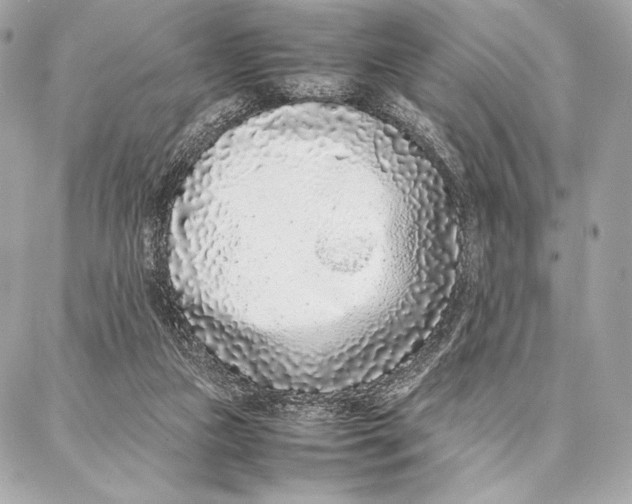 X0000087360161200705111654