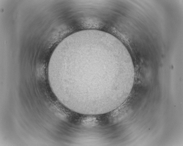 X0000087360162200705111654