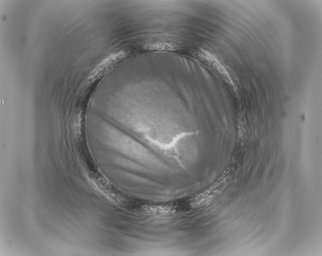 X0000087360163200705111654